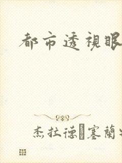 都市透视眼
