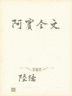 阿宾全文