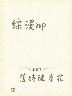 综漫np