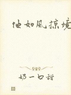 他如风掠境