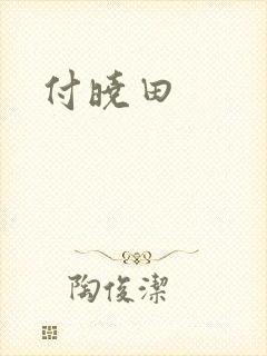 付晓田