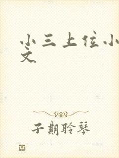 小三上位小说全文