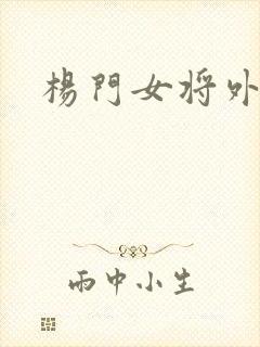 杨门女将外传