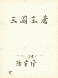 三国王者
