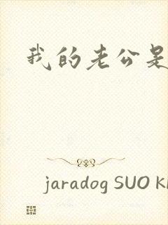 我的老公是冥王