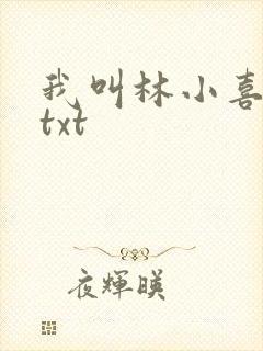 我叫林小喜小说txt
