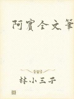 阿宾全文笔趣阁