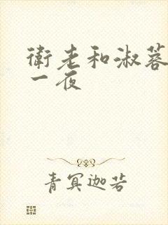 卫老和淑蓉销魂一夜