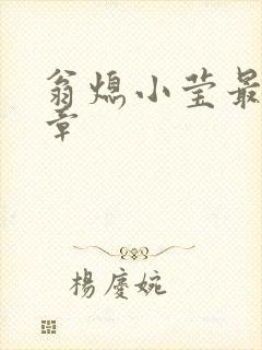 翁熄小莹最新节章