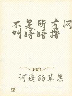 不是所有网站都叫暗暗撸