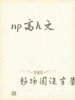 np高h文