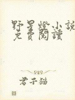 野星灯小说全文免费阅读