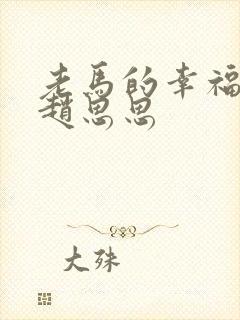 老马的幸福生活赵思思