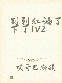 别到红酒了装不下了1V2