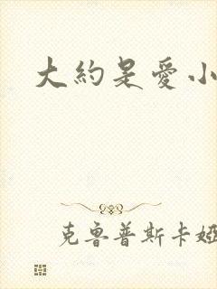 大约是爱小说