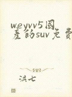 weyvv5国产的suv免费