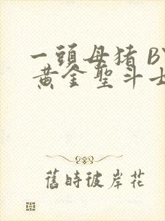 一头母猪 BY 黄金圣斗士