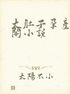 大肚子孕产笔趣阁小说