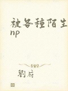 被各种陌生人 np