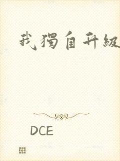 我独自升级小说