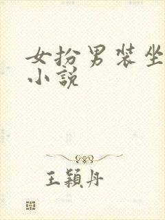 女扮男装坐江山小说