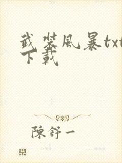 武装风暴txt下载