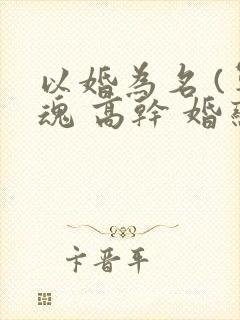以婚为名 (军魂 高干 婚恋)