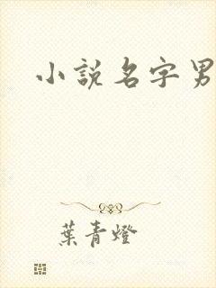 小说名字男生