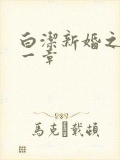 白洁新婚之夜第一章