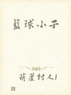 篮球小子