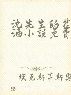 沈先生的花式调酒小说免费阅读