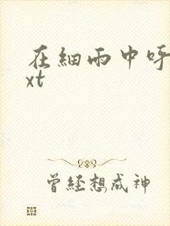 在细雨中呼喊txt