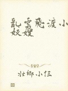 乱云飞渡小说之姣嫂