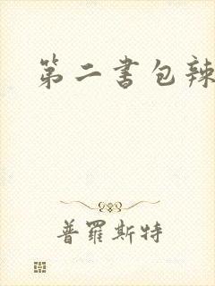 第二书包辣文