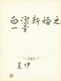 白洁新婚之夜第一章