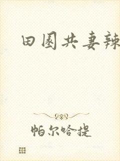 田园共妻辣