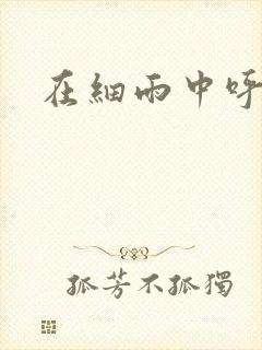 在细雨中呼喊