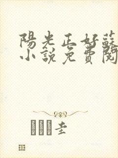 阳光正好苏玥玥小说免费阅读无弹窗