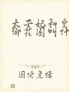 太子妃和皇帝在御花园叫什么小说