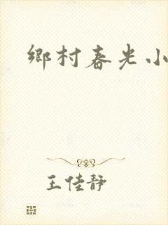 乡村春光小说