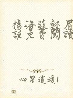 杨洛苏轻眉笔小说免费阅读