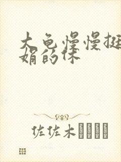 大龟慢慢挺进张娟的休