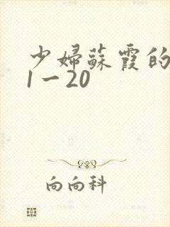 少妇苏霞的沉沦1一20