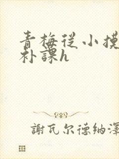青梅从小摸到大补课h