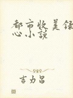 都市收美录宁素心小说