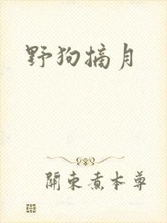 野狗摘月