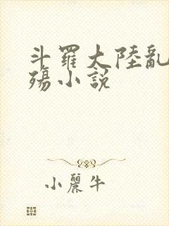 斗罗大陆乱世浮殇小说
