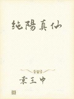 纯阳真仙