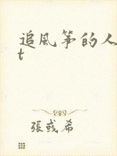 追风筝的人txt