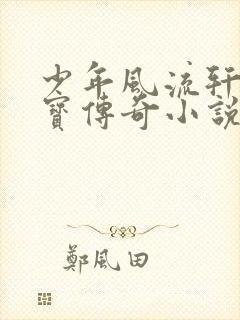 少年风流轩辕大宝传奇小说